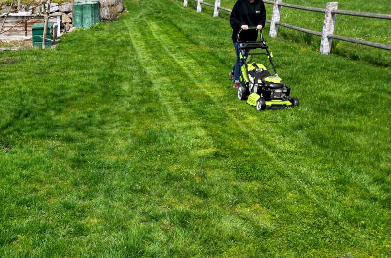 product thumbnail photo